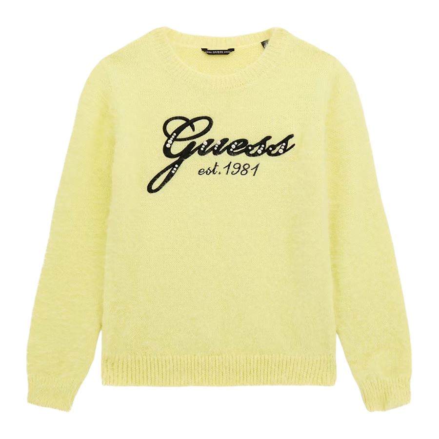 Ls Sweater Guess | J4BR07/Z3K20G8GI